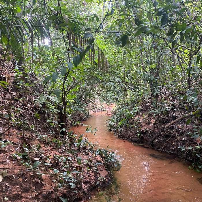 Trilha para Cachoeira do Talho - Chapada das Mesas